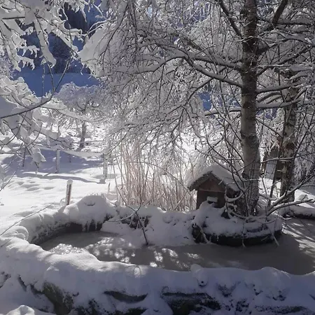 Le Vieux Madrier Chalet *