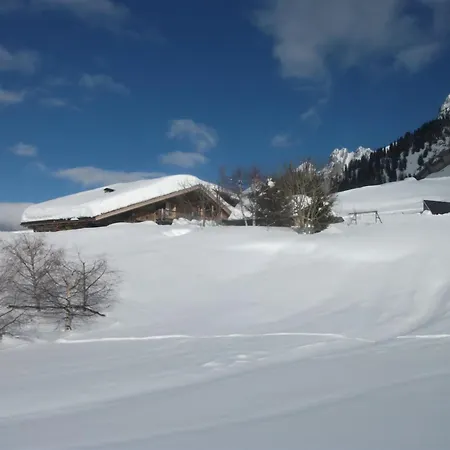 Le Vieux Madrier Chalet *