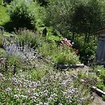 Chalet Le Vieux Madrier *