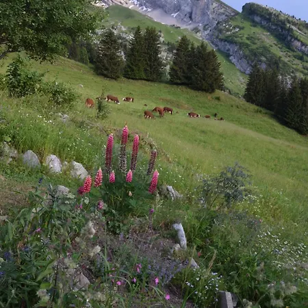 Chalet Le Vieux Madrier *